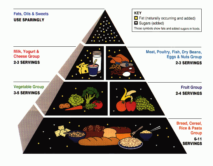 food pyramid